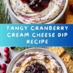 Cranberry Cream Cheese Dip Recipe