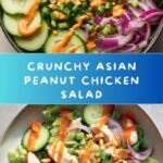 Asian Peanut Chicken Salad Recipe