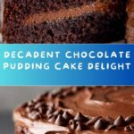 Ridiculous Chocolate Pudding Cake Recipe