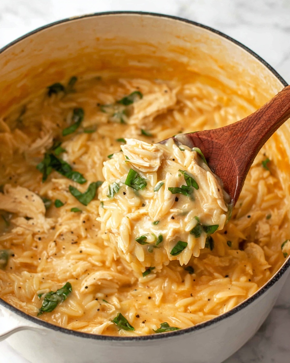Creamy Tomato Orzo with Chicken Recipe - Recipe Image